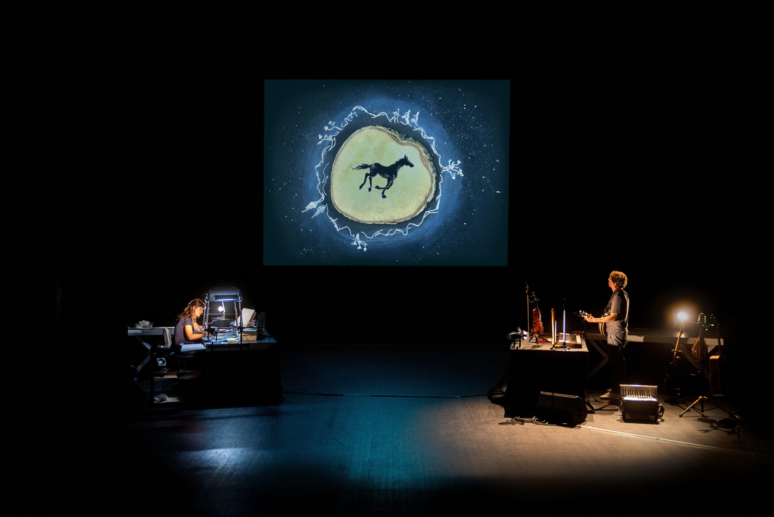 Photo du spectacle Versant vivant